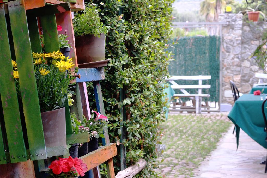 Villa Basilio Accommodation Ricadi Exterior foto